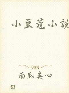 小豆蔻小说