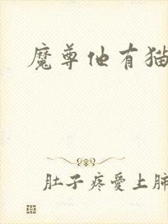 魔尊他有猫了