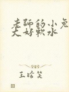 老师的小兔子好大好软水