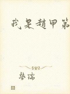 我是赵甲第小说