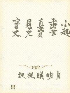 宝贝真乖小说全文免费笔趣阁