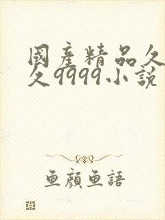 国产精品久久久久9999小说