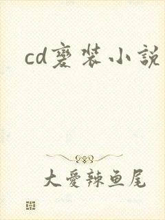 cd变装小说