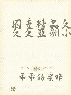 国产精品久久久久久亚洲小说