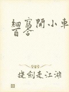 细写开小车车的百合