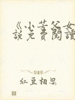 《小芳父女》小说免费阅读