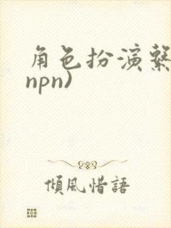 角色扮演系统(npn)