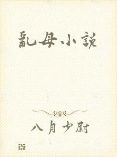 乱母小说