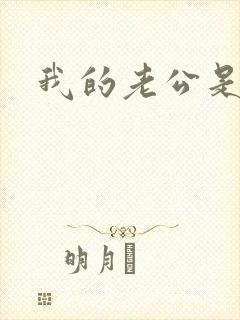 我的老公是军阀