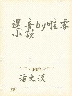 迟音by唯雾的小说