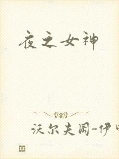 夜之女神