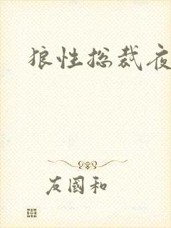 狼性总裁夜欢宠