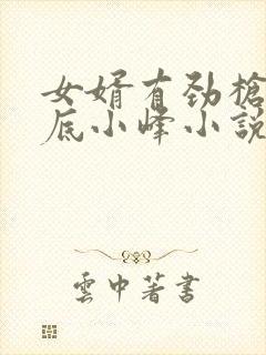 女婿有劲枪枪到底小峰小说