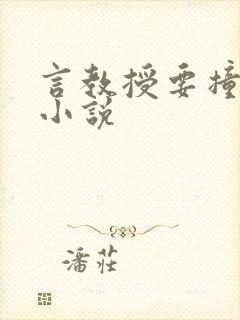 言教授要撞坏了小说