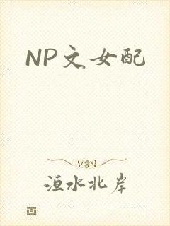 NP文女配