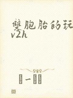 双胞胎的玩具1v2h