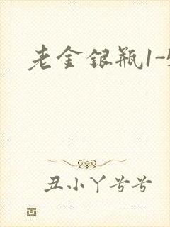 老金银瓶1-5