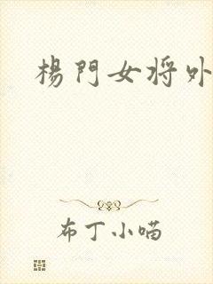 杨门女将外传