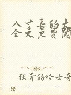 八寸长的大宝贝全文免费阅读