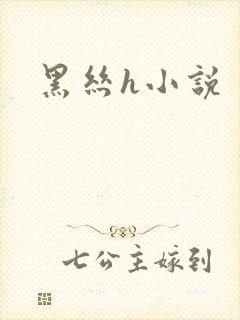 黑丝h小说