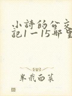 小诗的公交车日记1一15哪里能看