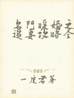 名门暖婚之权爷追妻攻略全文免费阅读