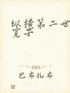 纵横第二世界 宽子