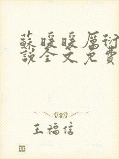 苏暖暖厉衍琛小说全文免费阅读