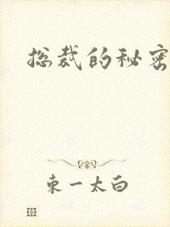 总裁的秘密情人