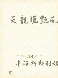天龙猎艳风流