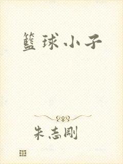 篮球小子