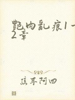 艳肉乱痕1一12章