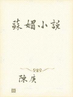 苏媚小说