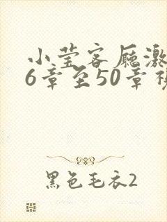 小莹客厅激情46章至50章视