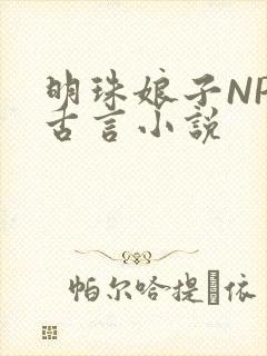 明珠娘子NPC古言小说