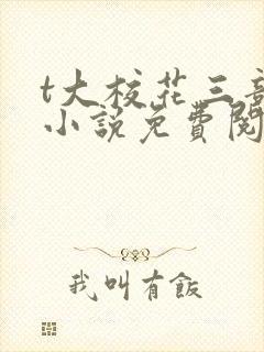 t大校花三部曲小说免费阅读全文