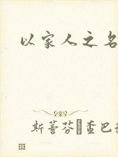 以家人之名小说