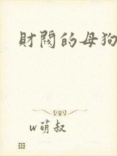 财阀的母狗们
