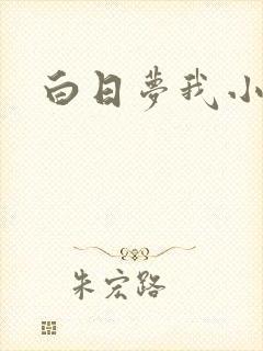 白日梦我小说