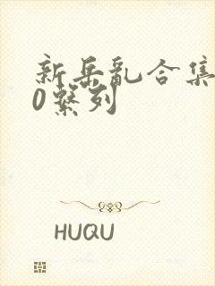 新岳乱合集500系列