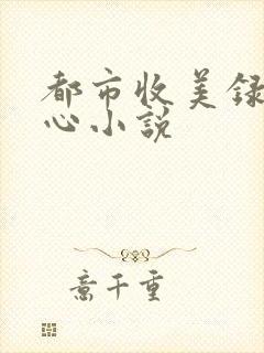 都市收美录宁素心小说
