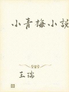 小青梅小说