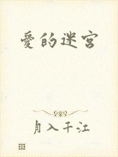 爱的迷宫