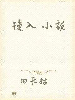 后入 小说