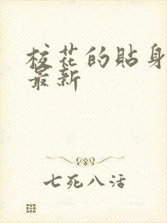 校花的贴身高手最新