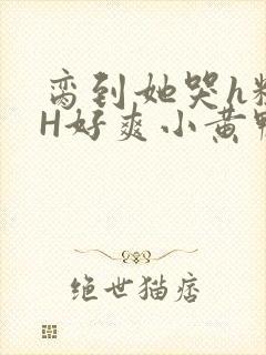 脔到她哭h粗话H好爽小黄鸭视频