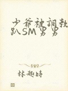 少爷被调教室跪趴SM男男