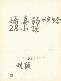 娇妻的呻吟1—28小说