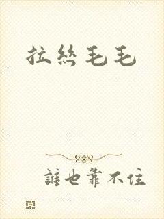 拉丝毛毛