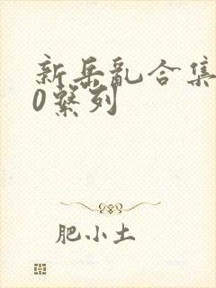 新岳乱合集500系列